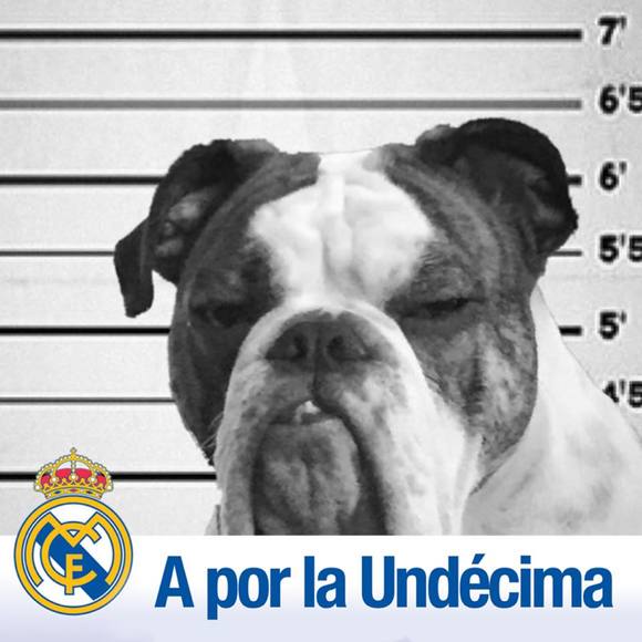 Meet your Posher, Nathaniel - Picture 1 of 1